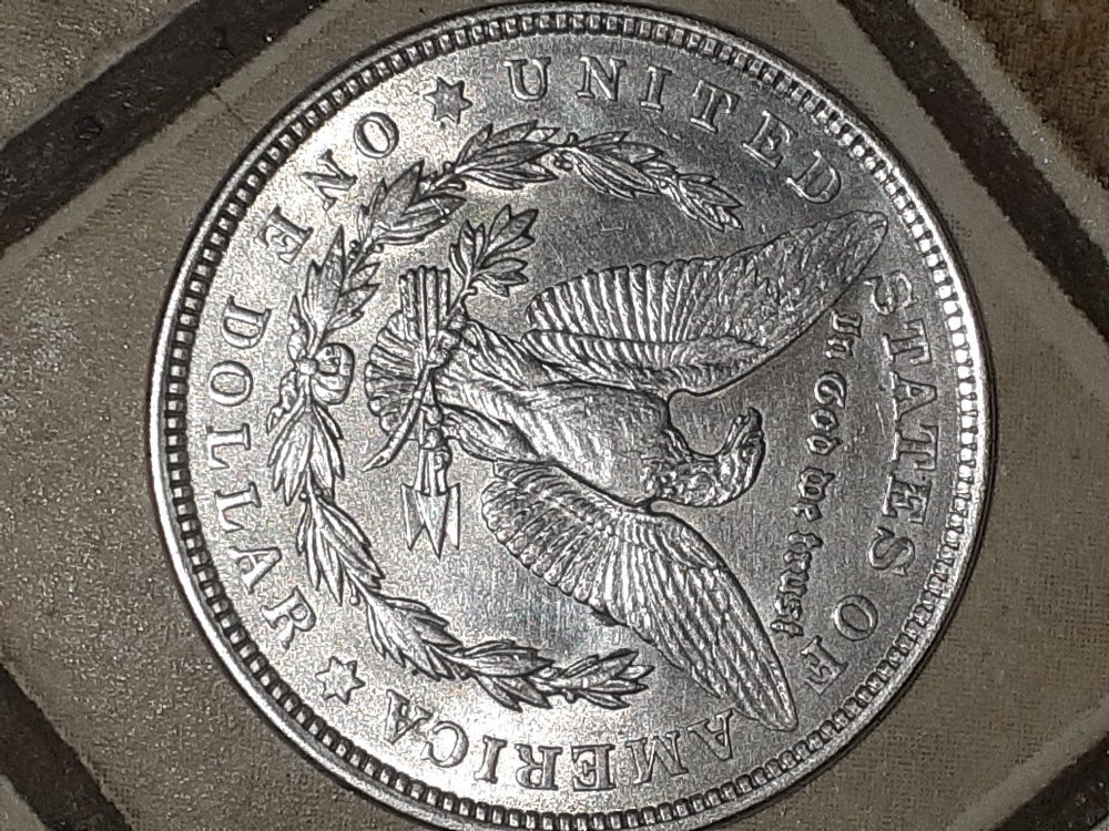 1921-Morgan-Dollar-Excellent-Condition